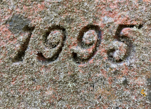 dejton, 1995